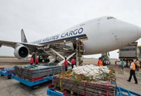 Regulations for air transport of general cargo and dangerous goods and special goods